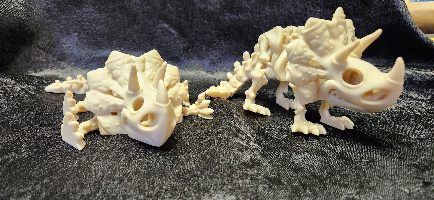 Skeleton Dinos